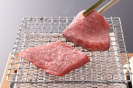 【最高級】飛騨牛 霜降り焼肉 1100g【39-15】