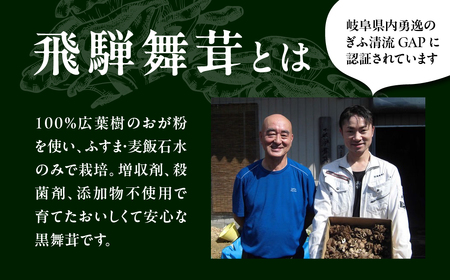 飛騨舞茸と佃煮のセット(飛騨舞茸 600g ・舞茸の佃煮 600g（100g×6袋））【60-1】