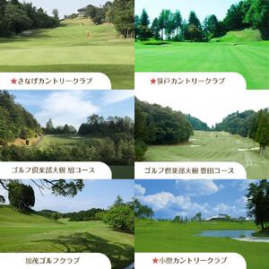 豊田市ゴルフ場利用券５枚（市内１６ゴルフ場利用可）