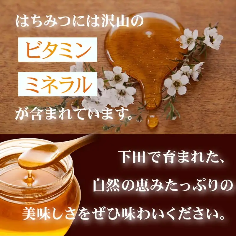 ＜下田みつばち＞ローハニー600g×2本セット [下田みつばちのローハニー 蜂蜜 国産]
