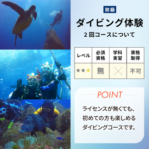 ＜ドラゴンレディ＞体験ダイビング　2回コース [マリンスポーツ アクティビティ]