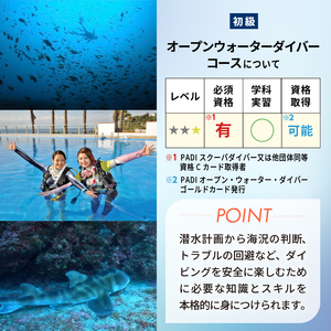 ＜ドラゴンレディ＞南伊豆下田で世界に通じる「PADIライセンス」を取得しよう♪　PADI　ダイビングスクール(3日間) [マリンスポーツ アクティビティ]
