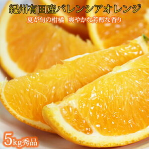 G7079_ 希少 国産 秀品 バレンシアオレンジ 5kg 果汁 豊富 糖度 高い 甘い 爽快感 香り 酸味 味わい スッキリ 栄養補給 柑橘 オレンジ 果物 フルーツ 果実 食品 食べ物 おやつ デザート お取り寄せ お取り寄せフルーツ 和歌山県 湯浅町 送料無料