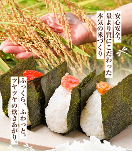 【5ヶ月定期便】令和7年産 七城のこめ 精米 5kg×2袋/月×5回 計50kg ヒノヒカリ ひのひかり 有限会社七城町特産品センター 《お申し込み月の翌月から出荷開始》 熊本県 菊池市 定期便 お米 米 白米 九州産 熊本県産