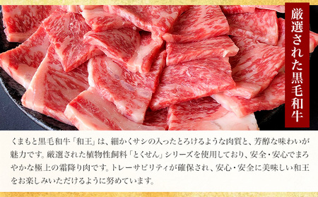 熊本県産 黒毛和牛 サーロイン ステーキ 計1kg（250g×4）《90日以内に出荷予定(土日祝除く)》国産 牛肉