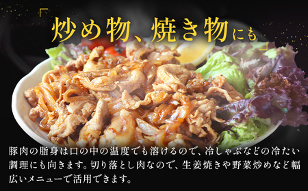 りんどうポーク 切り落とし 計1.6kg（400g×4パック）《90日以内に出荷予定(土日祝除く)》