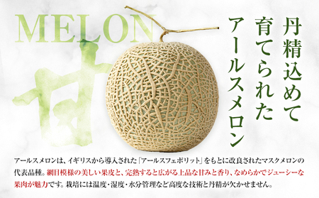 アールスメロン 約2kg×2玉 (約4kg)【養生市場】メロン 果物 フルーツ マスクメロン 九州産 熊本県産 送料無料 《2026年10月中旬-11月中旬頃出荷予定》