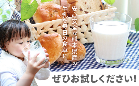 牛乳 常温保存可能 成分無調整 生乳100％使用 大阿蘇牛乳 紙パック 1000ml×6本 合同会社たべたせいか《30日以内に出荷予定(土日祝除く)》熊本県 菊池市 牛乳 乳飲料 乳性飲料 ドリンク 飲み物 飲料 セット ロングライフ 熊本県産