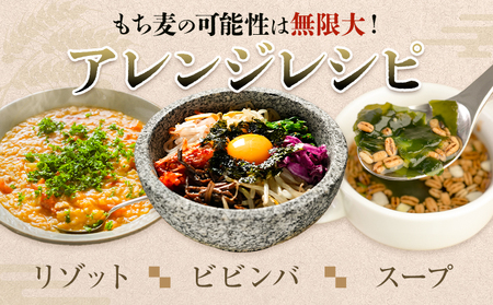 熊本県菊池産 もち麦 計1kg（200g×5パック）七城物語 高野さんちのもち麦七城物語 高野さんちのもち麦 計1kg (200g×5パック) 株式会社有機農場《30日以内に出荷予定(土日祝除く)》熊本県 菊池市 熊本県菊池産 もち麦 モチ麦 ダイシモチ 小分け チャック付き 国産 九州産 熊本県産 送料無料