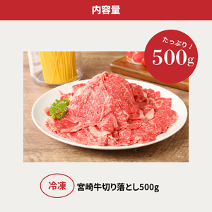 ＜宮崎牛　和牛　切り落とし500g＞ K01_0009_1