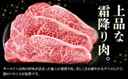 旭志牛 サーロインステーキE 160g×3枚 合計480g 有限会社旭志村ふれあいセンター《90日以内に出荷予定(土日祝除く)》お肉 牛肉 サーロイン ステーキ 菊池ブランド牛 冷凍 送料無料