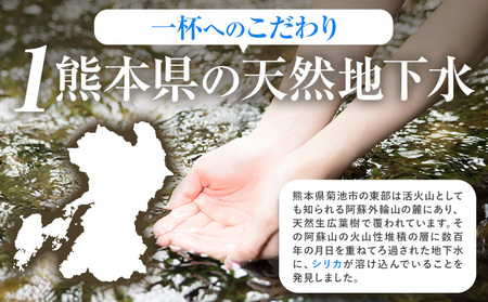 水 シリカ水 500ml × 48本 有限会社七城町特産品センター メロンドーム 《30日以内に出荷予定(土日祝除く)》 熊本県 菊池市 水 軟水 飲料 ドリンク 清涼飲料水 天然地下水 ペットボトル ミネラルウォーター 定期便 送料無料