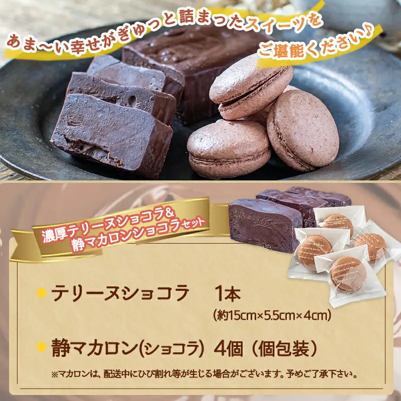 濃厚テリーヌショコラ＆静マカロンショコラセット〔LG-C203〕_(都城市) カカオ分72％ チョコレート好きに 洋菓子 おやつ スイーツ 冷凍 