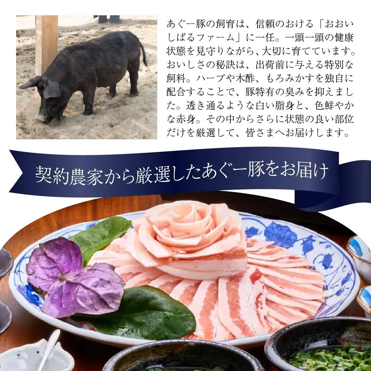 まつもと自慢のあぐー豚しゃぶしゃぶセット 基本セット（3人前) | 沖縄