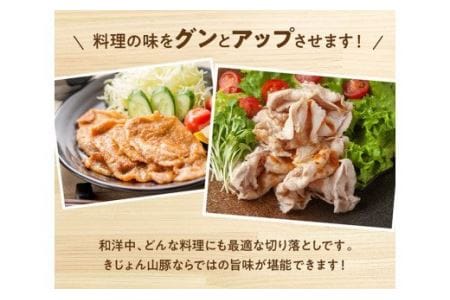 豚肉 宮崎県産ブランド豚切り落とし3.5kg 【きれいなスライスで大人気！「きじょん山豚」】
