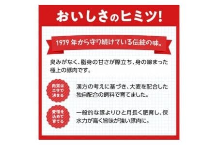 尾鈴豚おすすめセット 【 肉 豚肉 国産豚肉 九州産豚肉 宮崎県産豚肉 ロース バラ 加工品 豚肉詰合せ 】