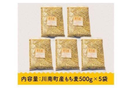 令和7年産 もち麦 2.5kg（500g×5袋） 【 ふるさと納税 国産 麦 もち麦 食物繊維 数量限定 宮崎県産 川南町産 送料無料 】