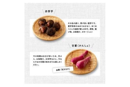 【定期便】産直おすず村 季節の野菜と果物 厳選 詰め合わせセット（小） 【 旬野菜 フルーツ 直売所 産地直送 宮崎県産 】
