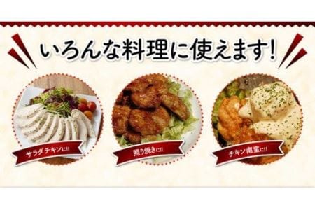 【業務用】宮崎県産若鶏 ムネ肉 12kg 肉 鶏 鶏肉 国産鶏肉