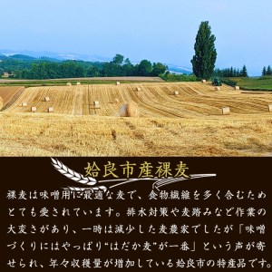 a738 鹿児島県姶良市産の裸麦を使用！昔ながらの手法で作った裸麦みそ「本仕込み かもう麦味噌」合計5kg(1kg×5袋)【蒲生農産加工】