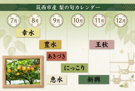 【 JA 北つくば 】 筑西ブランド 認証品 豊水 10kg 2026年産 先行予約