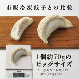 味のきんせい　手作り餃子８個入り３セット　ジャンボギョーザ