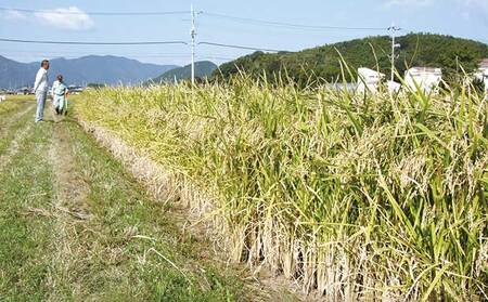 H-18 播州手延そうめん「むらさきの舞」300g(6束)×6袋