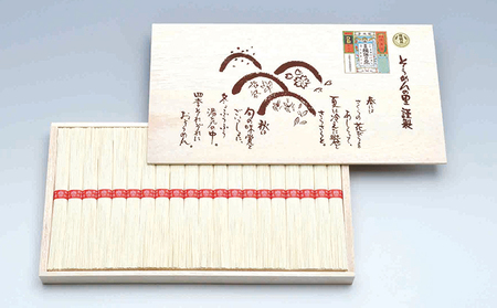 G-6【手延そうめん揖保乃糸】ひねDS上級品 赤帯 40束
