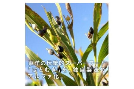 U-4　[ファイン]はとむぎＣ美人粒 ３個セット