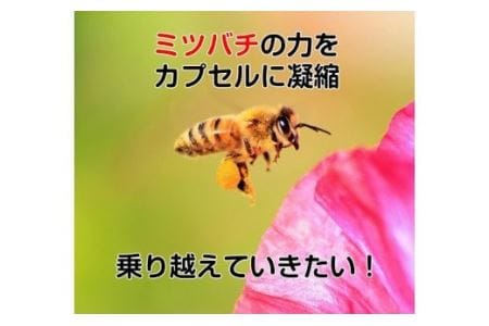 E-23　[ファイン]プロポリス ２個セット