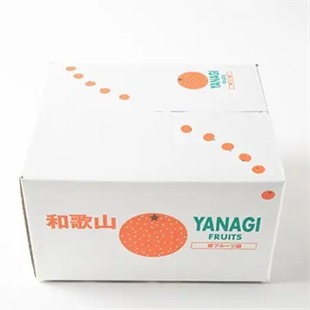 柿【先行受付】柳フルーツ園(訳あり)たねなし柿 約10kg_柿　たねなし柿　橋本市産柿　渋柿_【1077826】