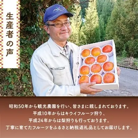 【2026年度発送分】国城観光農園の紀の川柿11～12個(2L～3Lサイズ)_柿　紀の川柿　橋本市産柿　渋柿_【1077105】