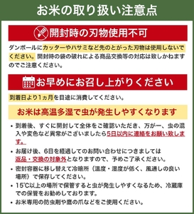 ▼和歌山県産 キヌヒカリ 10kg（2025年産・令和7年産）産地直送  【sml400-kinu-10C】