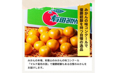 有田 みかん 特選 赤秀 3kg 【 創業120年 農家直送 】 / 温州みかん 有田みかん 甘い ギフト 贈答 高級 和歌山 柑橘 ※2026年11月中旬より2027年1月下旬に順次発送予定 【isy004-gif-3B】