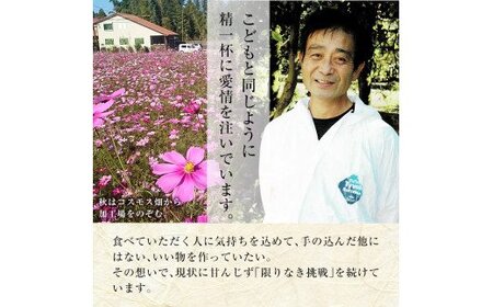 B0-166 国産！鹿児島黒豚プレミアムバーベキューセット(計2kg以上)【米平種豚場ふくふく黒豚の里】霧島市 肉 豚肉 黒豚 ロース バラ 肩ロース 詰合せ BBQ セット