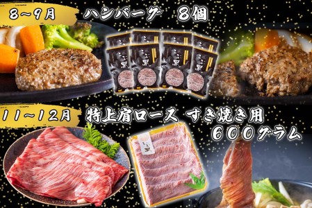 ＜定期便4回＞ 北海道産 黒毛和牛 こぶ黒  A5 贅沢 わくわく 定期便 ＜LC＞