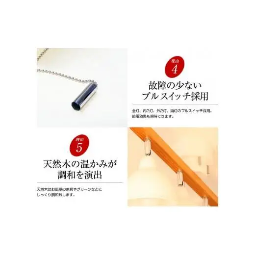 シーリングライト プルスイッチ 天井照明 LED昼白色付属[631]