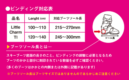 スキー板 【120cm】 子ども用 ビンディング付 sw1006-120