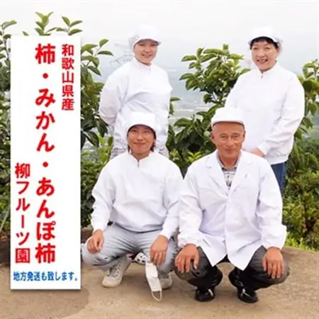 あんぽ柿【先行受付】柳フルーツ園「紀州手作り　あんぽ柿」24個入り【配送不可地域：離島】【1077179】