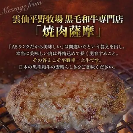特選和牛〈焼肉薩摩 完熟平野幸一之牛〉ハンバーグ10個_肉 ハンバーグ 牛肉 _【配送不可地域：離島】【1014403】