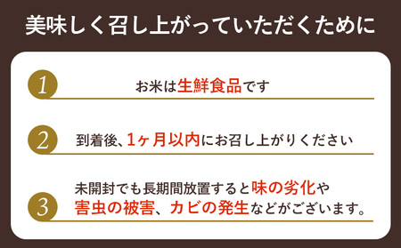 【2025年産】【定期便：3回】北海道羽幌産オロロン米ななつぼし10kg【0410802】