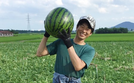 たきざわスイカスパークリング（6本入り）【アートファーム】/ すいか ジュース 炭酸飲料 ご当地サイダー 