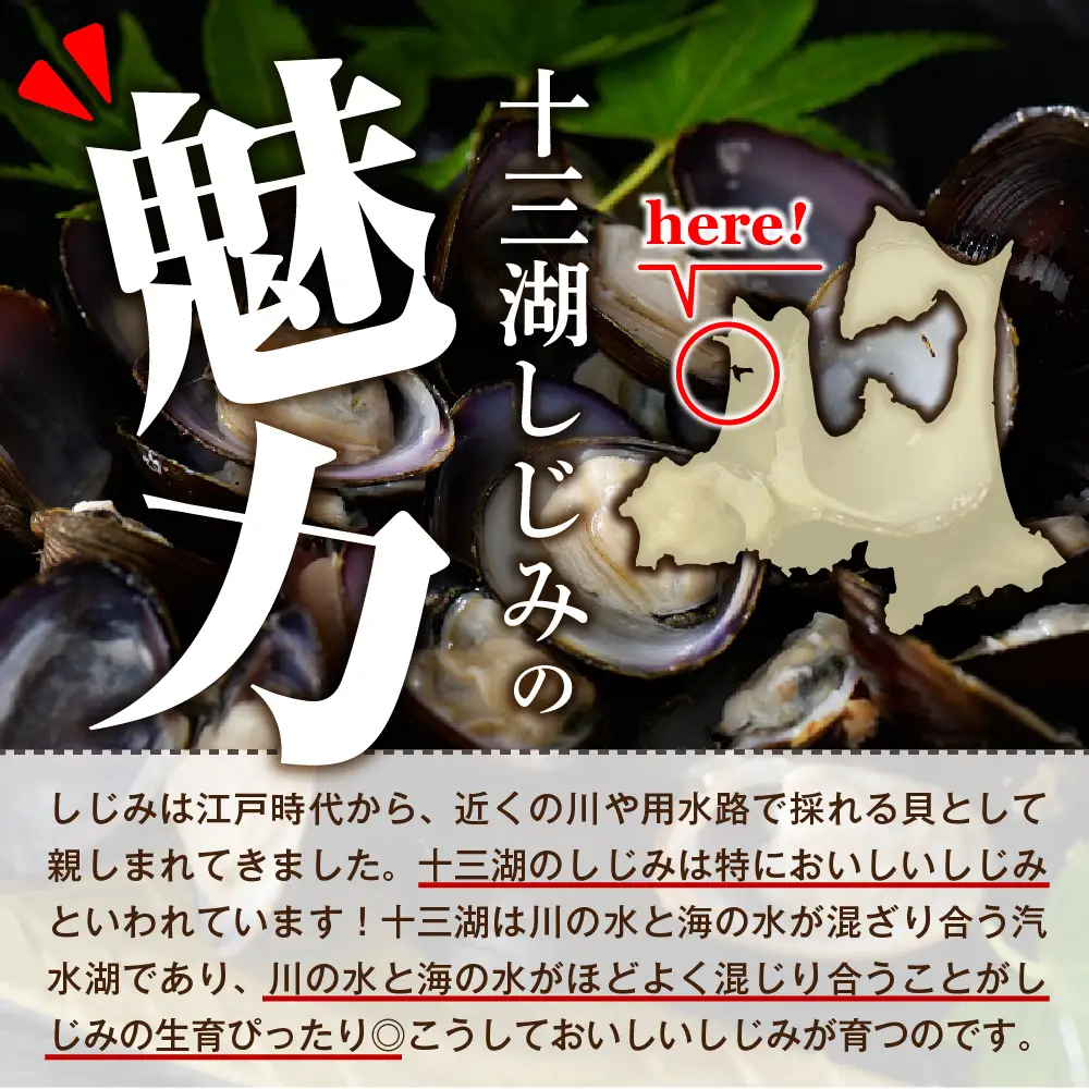 しじみ　十三湖産しじみセットA（道の駅十三湖高原からお届け！）
