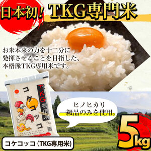 A-153 《令和7年産》日本初！卵かけご飯専用米!コケコッコ(TKG専用米)計5kg【山口米店】お米 精米 白米 米 お米 こめ コメ