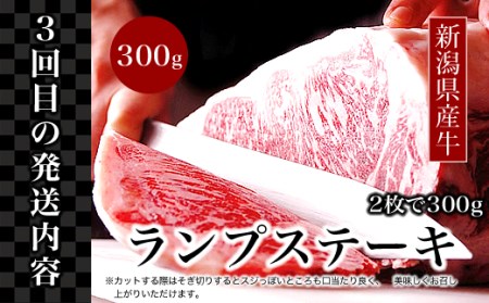 76-77B【3ヶ月連続お届け】【訳あり】迷ったらこれ！豪華！！ステーキ定期便
