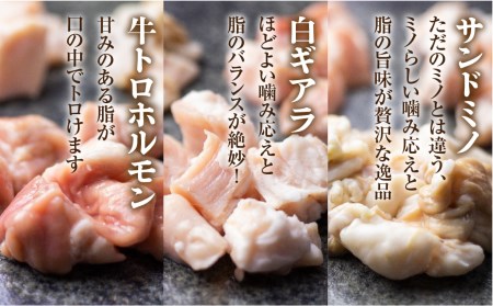 プレミアムホルモン セット 3種 詰め合わせ 計600g 牛ホルモン 白トロ ギアラ サンドミノ ギアラ芯 味付きホルモン 焼くだけ絶品 とろける脂 簡単調理[Q793x]