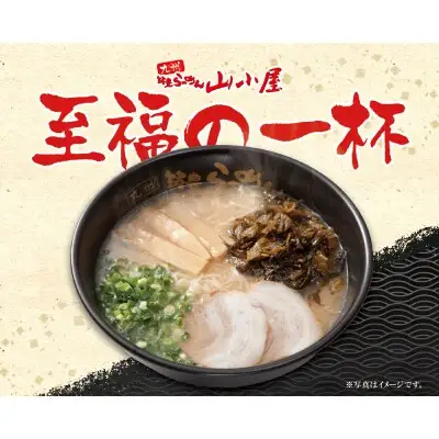Z54-04 寄附額改定↓↓ 筑豊豚骨らーめん 焼豚高菜生ラーメンWチャーシューとんこつ8食セット ラーメン
