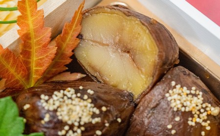 FYN9-448 山菜料理専門料亭「玉貴」月山 秋の香味箱（採れたてのキノコ料理・七茸芋煮・そばの詰合せ）2人前 2026年9月下旬から順次発送 秋の味覚 秋 山菜 きのこ 茸 芋煮 いも煮 蕎麦 そば 詰め合わせ セット 食べ比べ 贈答 ギフト 山形県 西川町 月山