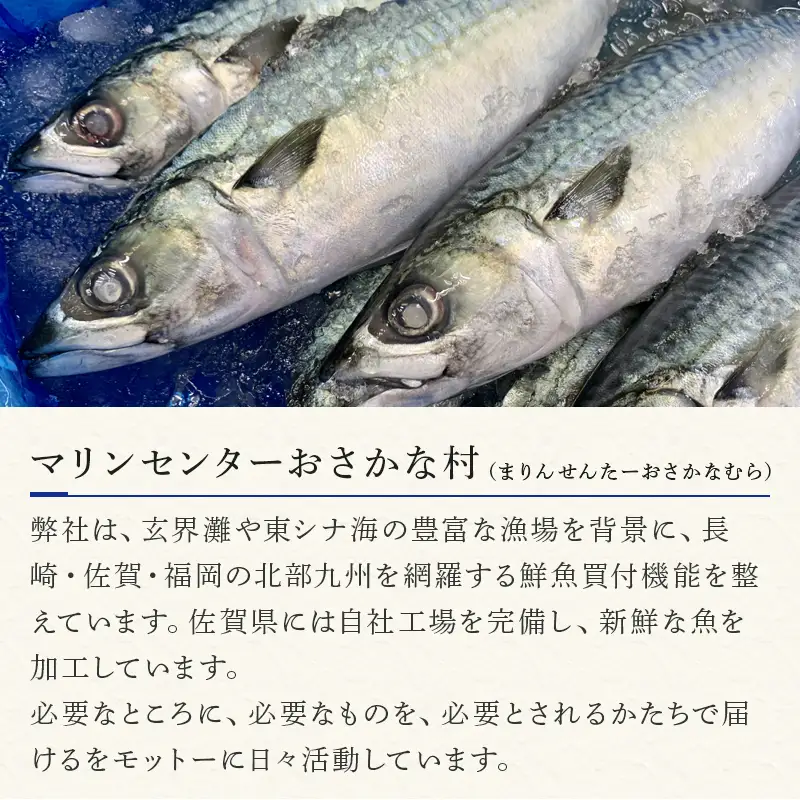 トロ〆さば 3枚セット(大) おさかな村 刺身 カルパッチョ