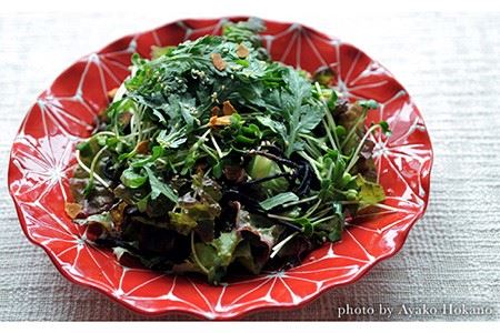 【波佐見焼】ホワイトライン麻 波 プレート L 赤 食器 皿 【翔芳窯】 [FE10]  波佐見焼